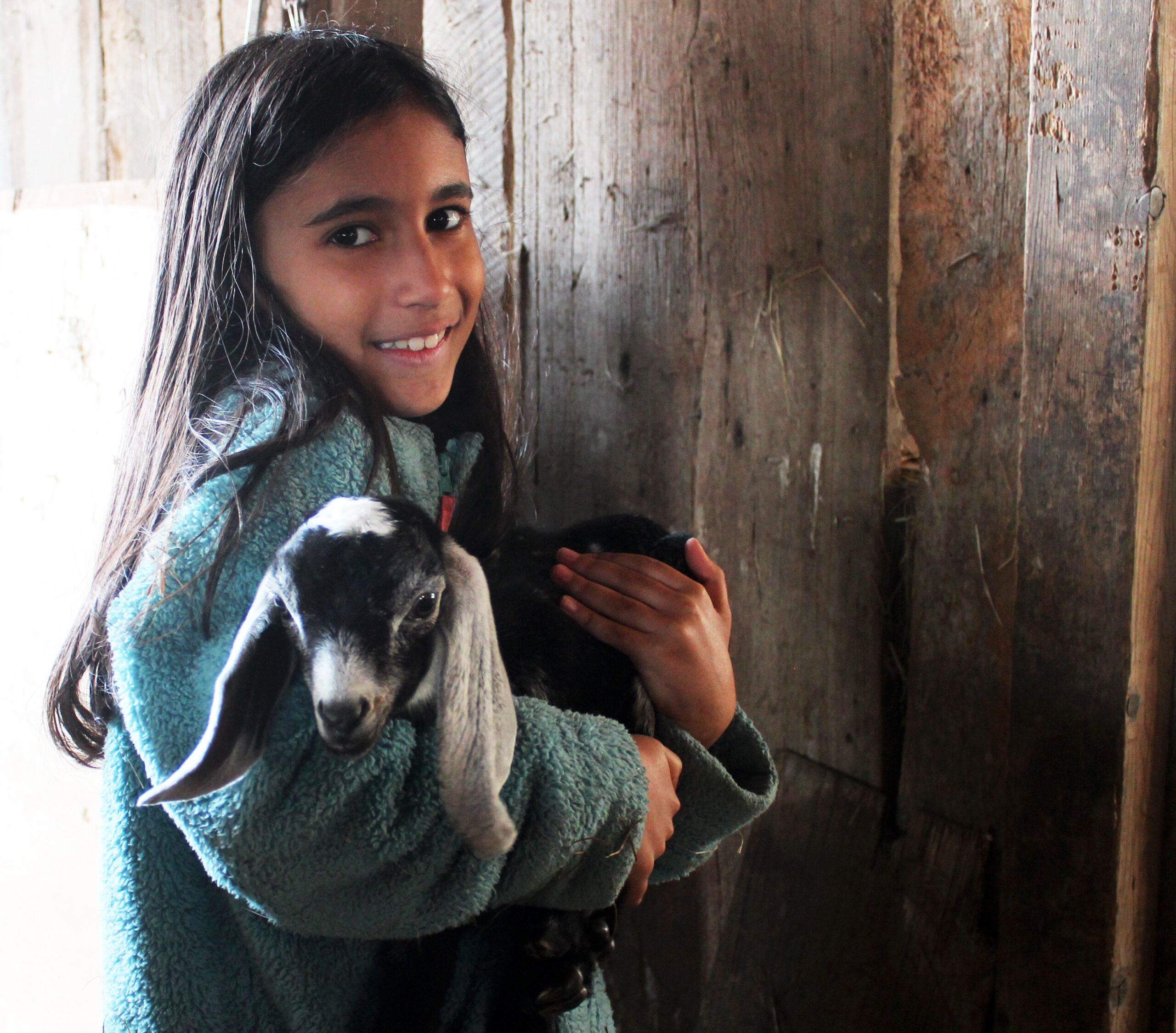 Young girl in grey fleece hugging a baby nubian goat with a wood barn wall backdrop.