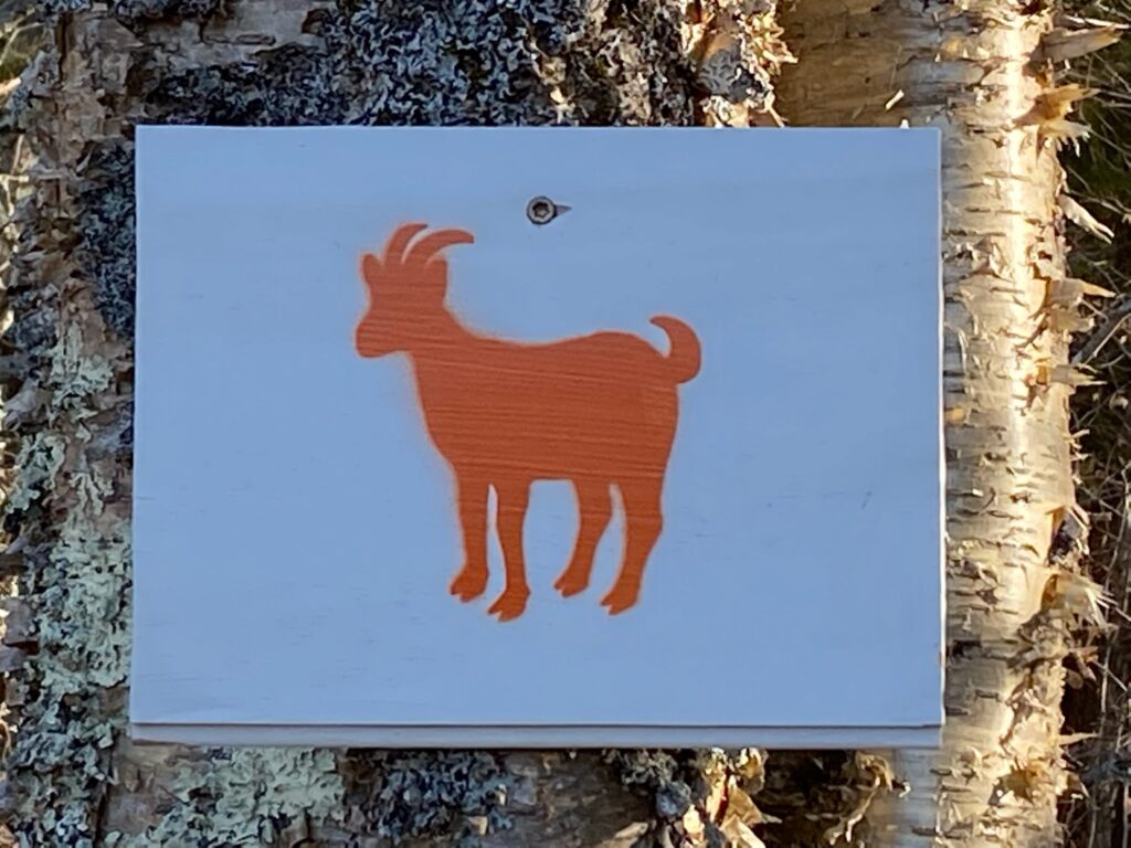 Trail marker on birch tree with brown goat on a blue background.