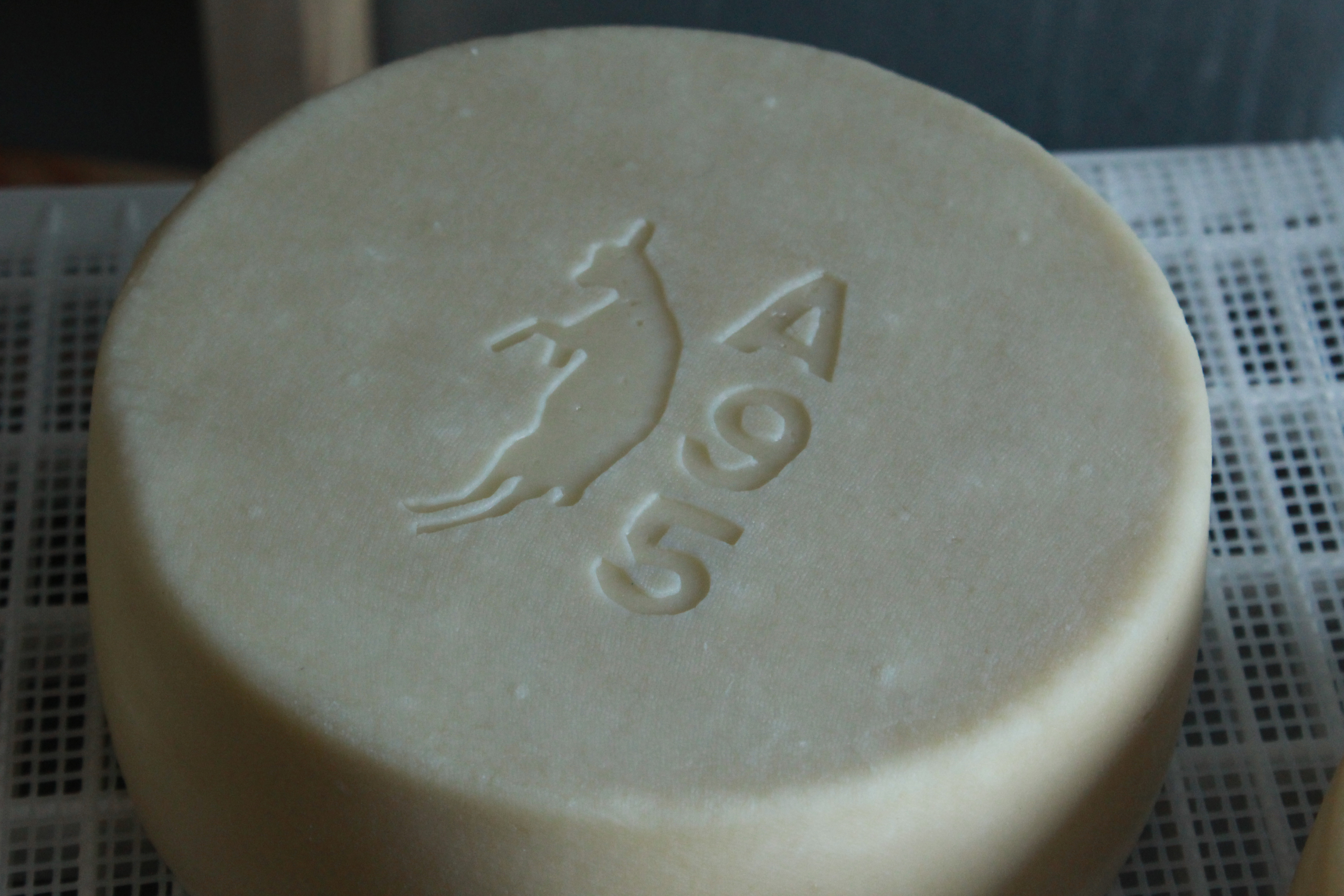 Wheel of Goat cheese stamped with a goat logo from Pumpkin Vine Family Farm in Somerville Maine