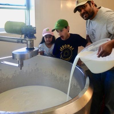 kids watching goat milk get poured into the vat.