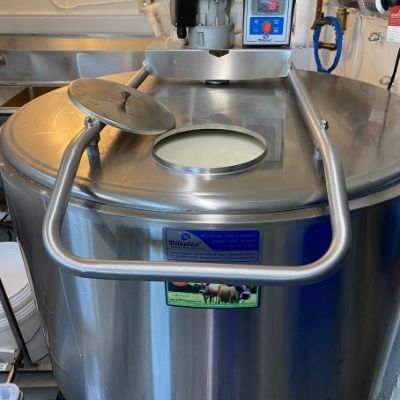 Large vat of goat milk in the creamery