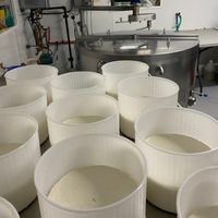 goat milk feta cheese draining in midcoast Maine creamery at Pumpkin Vine Family Farm.