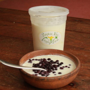 PUmpkin Vine Family Farm goat milk yogurt from midcoast Maine in a wooden bowl  with blueberries while a plastic tub of the yogurt with the farm's logo sits behind the bowl.