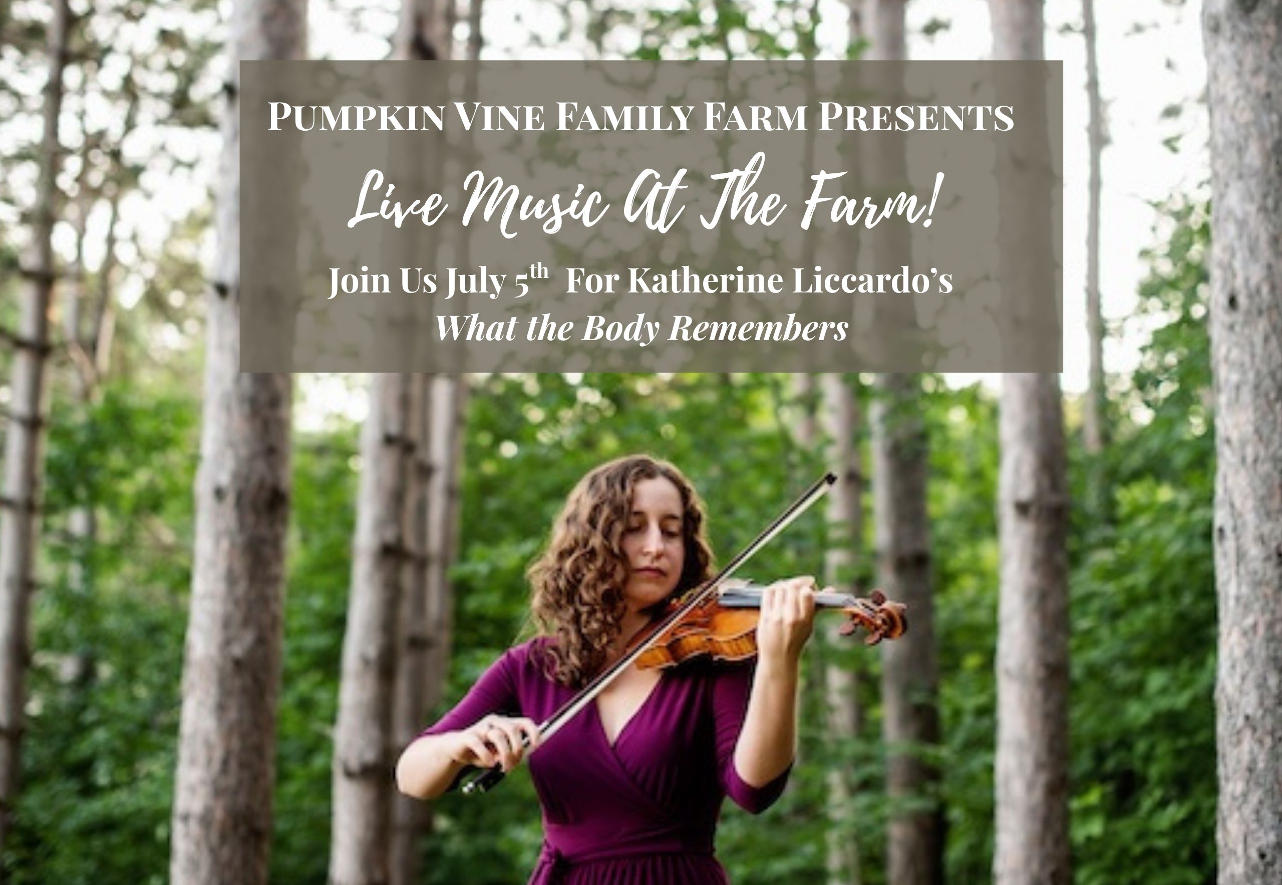 PVFF website image for concert july 5 2026 4 string musicians from Shelter Music Maine gathered after rehersal