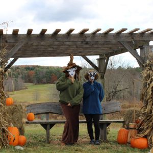 Goats in a field under fall colored trees<br />
